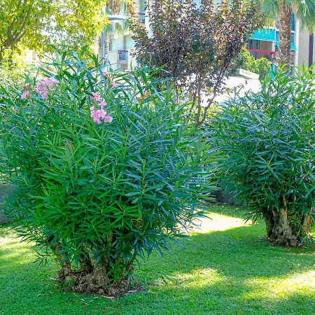 Pietra Home, Posto Auto, Ac ,wifi, 150mt Dal Mare