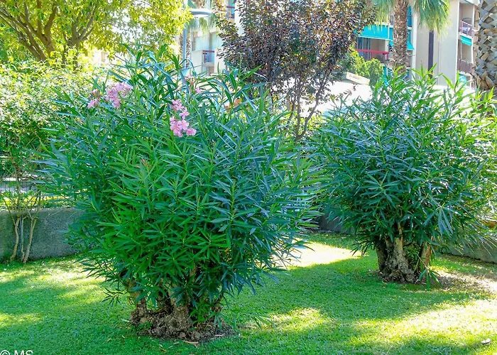 Pietra Home, Posto Auto, Ac ,wifi, 150mt Dal Mare